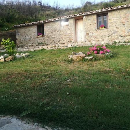 Il Cerro Agriturismo Zagarese Fuscaldo Exterior foto