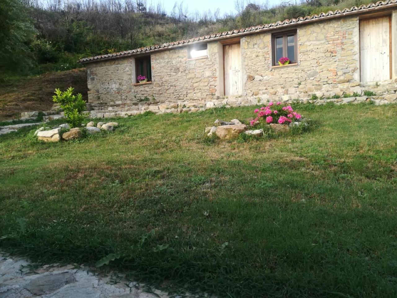 Il Cerro Agriturismo Zagarese Fuscaldo Exterior foto