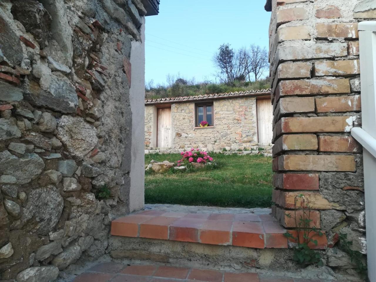 Il Cerro Agriturismo Zagarese Fuscaldo Exterior foto